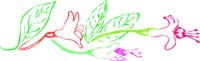 OBPL0024.CMX