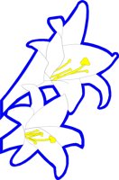 LILLY.CMX