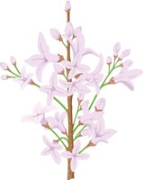 LILACS.CMX