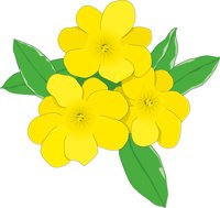 JASMINE.CMX
