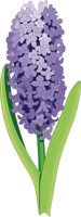HYACINTH.CMX