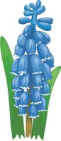 GRAPE_H.CMX