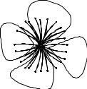 FLWRN020.CMX