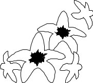 FLWRN010.CMX