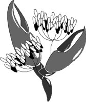 FLWRN007.CMX