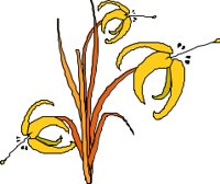 FLWRC158.CMX