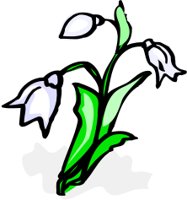 FLOWR2C.CMX