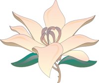 FLOWR055.CMX