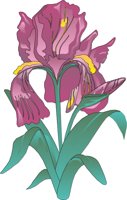 FLOWR053.CMX