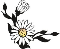 FLOWR026.CMX