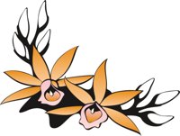 FLOWR016.CMX