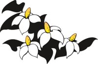 FLOWR015.CMX