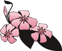 FLOWR013.CMX