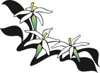 FLOWR012.CMX