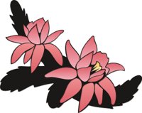 FLOWR007.CMX