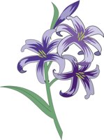 FLOWIRIS.CMX