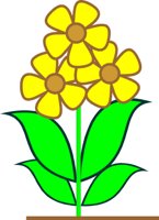 FLOWERS7.CMX