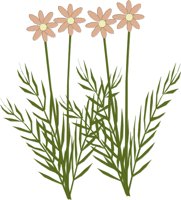 FLOWERS5.CMX