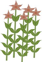 FLOWERS4.CMX