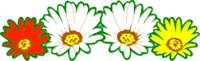 FLOWERS3.CMX