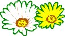 FLOWERS2.CMX
