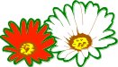 FLOWERS1.CMX