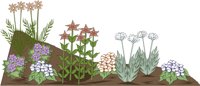 FLOWERBD.CMX