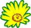 FLOWER5.CMX