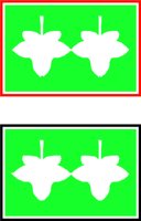 FLOWER34.CMX