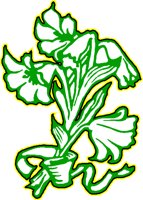 FLOWER3.CMX
