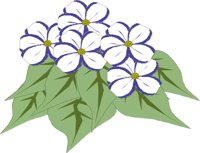 FLOWER2A.CMX
