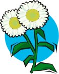 DAISY2.CMX