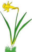 DAFODIL2.CMX