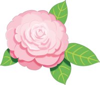CAMELIA.CMX