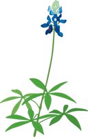 BLUEBONN.CMX