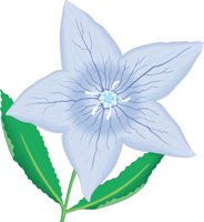 BFLOWER.CMX