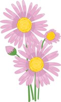 ASTER.CMX