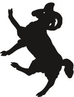 SIL_RAM2.CMX