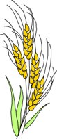WHEAT.CMX