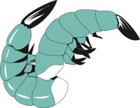 SHRIMPS.CMX