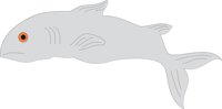 SALMON2.CMX
