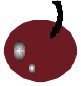 REGC0238.CMX