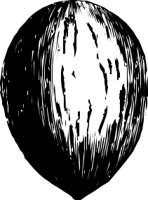 REGC0204.CMX