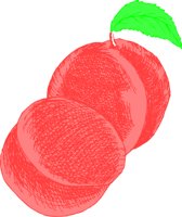 REGC0097.CMX