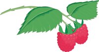 RASPBERR.CMX