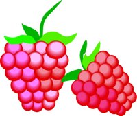 RASPBER1.CMX