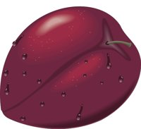 PLUM.CMX