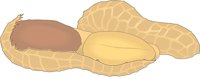 PEANUT.CMX