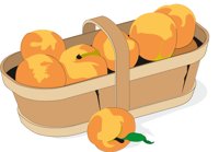 PEACHBSK.CMX