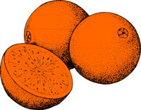 ORANGESA.CMX
